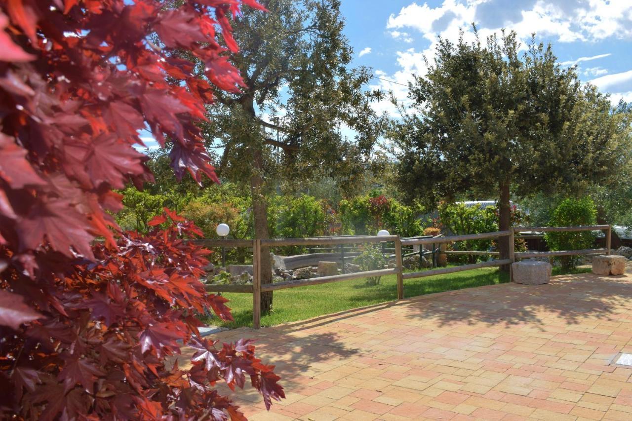 La Rosa Dei Trulli B&B Альберобелло Экстерьер фото