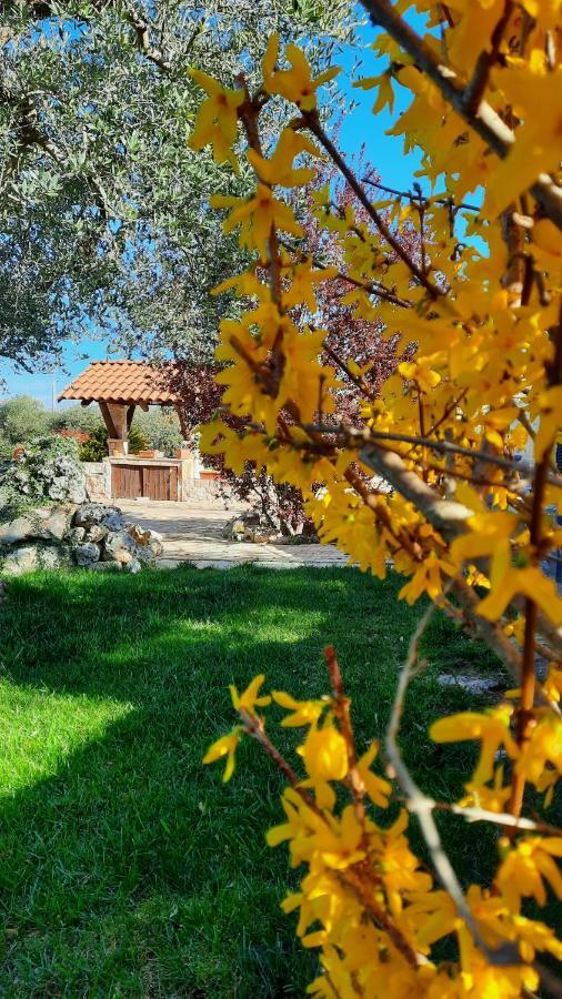 La Rosa Dei Trulli B&B Альберобелло Экстерьер фото