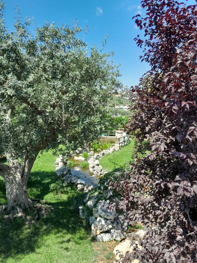 La Rosa Dei Trulli B&B Альберобелло Экстерьер фото