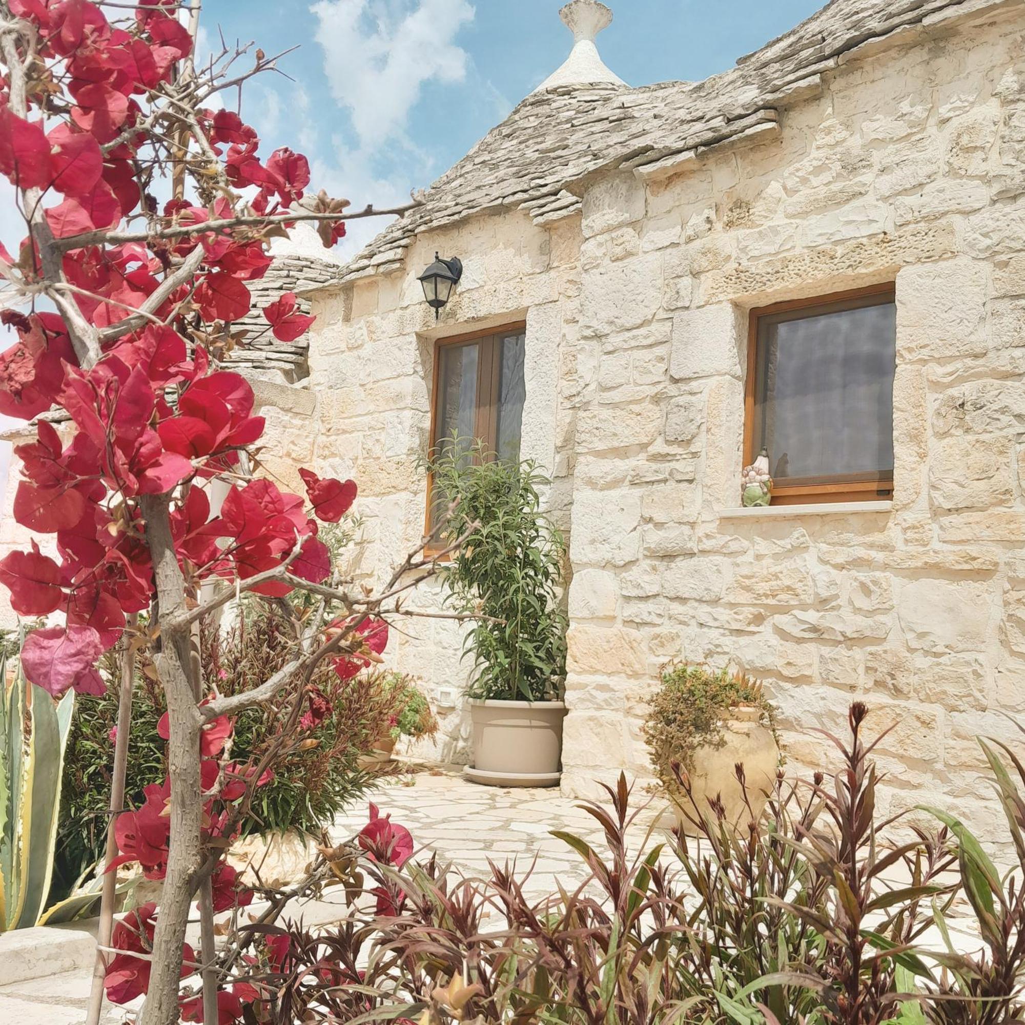 La Rosa Dei Trulli B&B Альберобелло Экстерьер фото