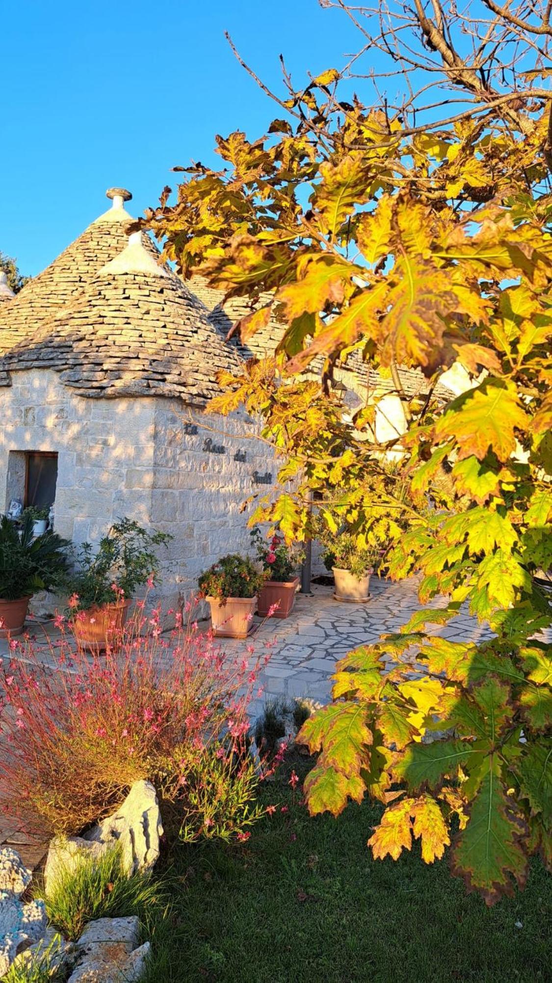 La Rosa Dei Trulli B&B Альберобелло Экстерьер фото