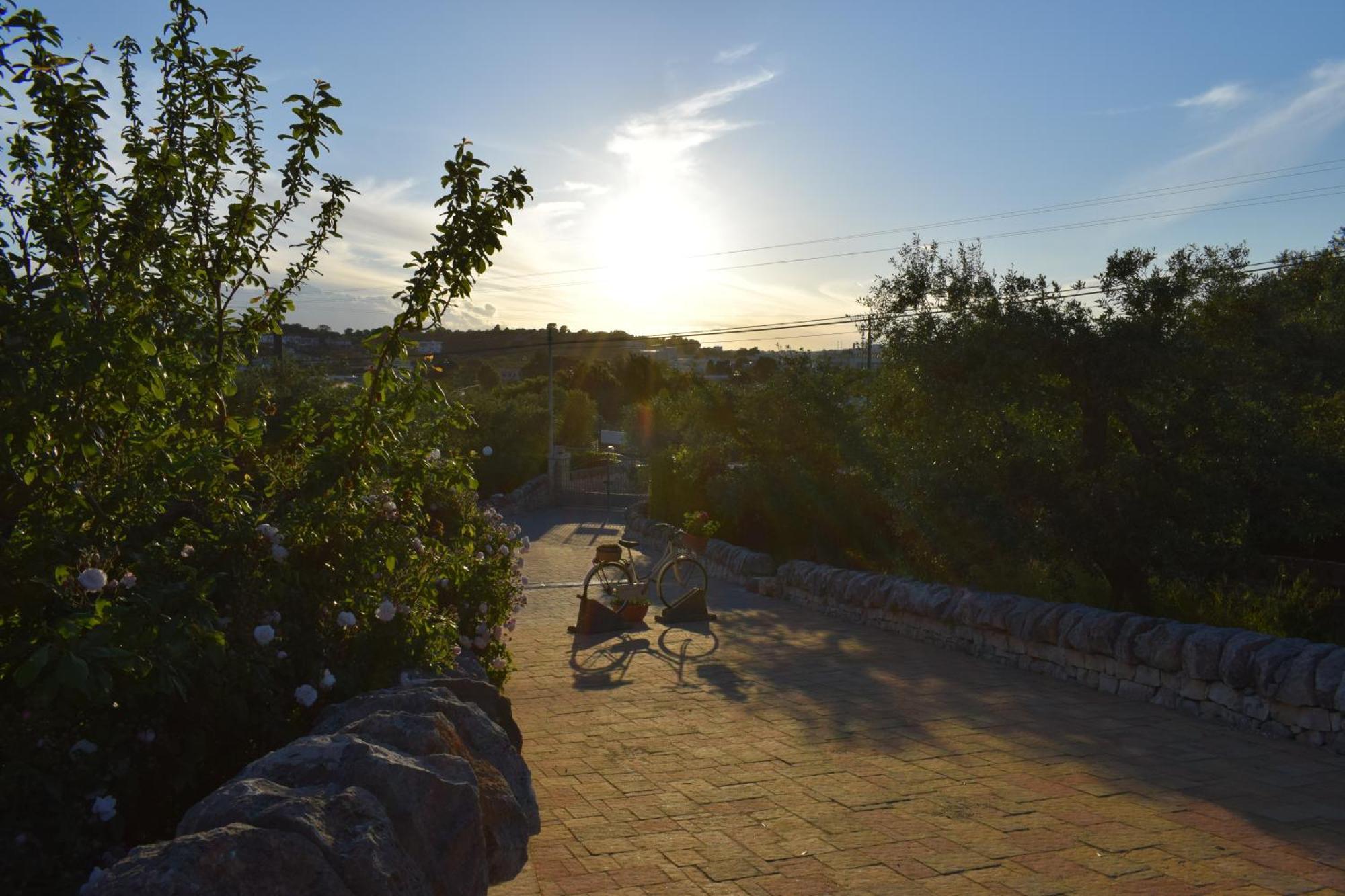 La Rosa Dei Trulli B&B Альберобелло Экстерьер фото