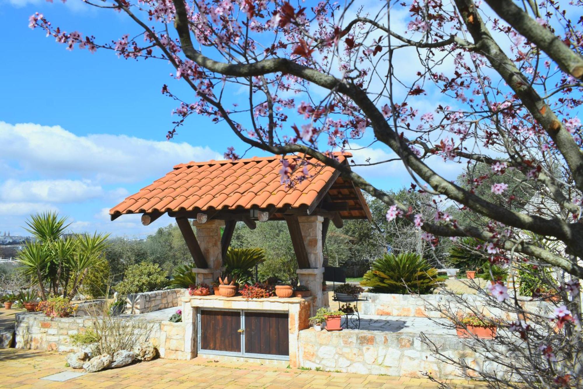 La Rosa Dei Trulli B&B Альберобелло Экстерьер фото