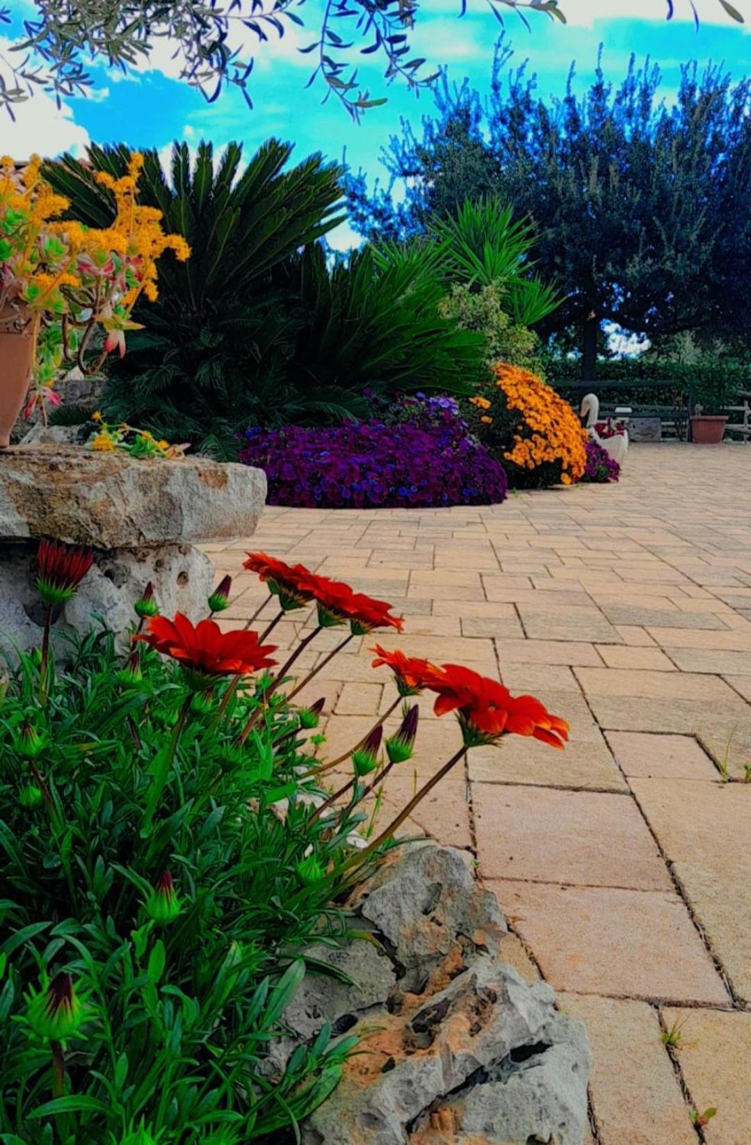 La Rosa Dei Trulli B&B Альберобелло Экстерьер фото